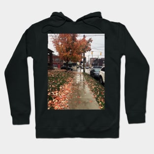 Rainy Autumn Day in Columbus, Ohio Hoodie